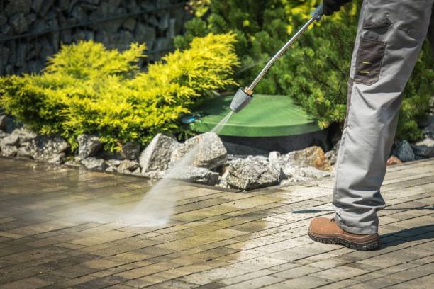 Best Driveway Pressure Washing  in Linntown, PA